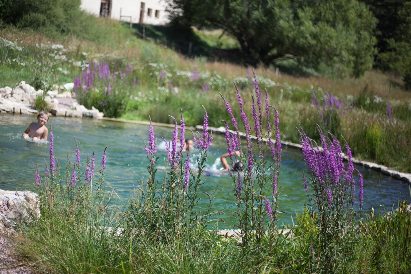 bassin naturel à la Réserve des Monts d'Azur