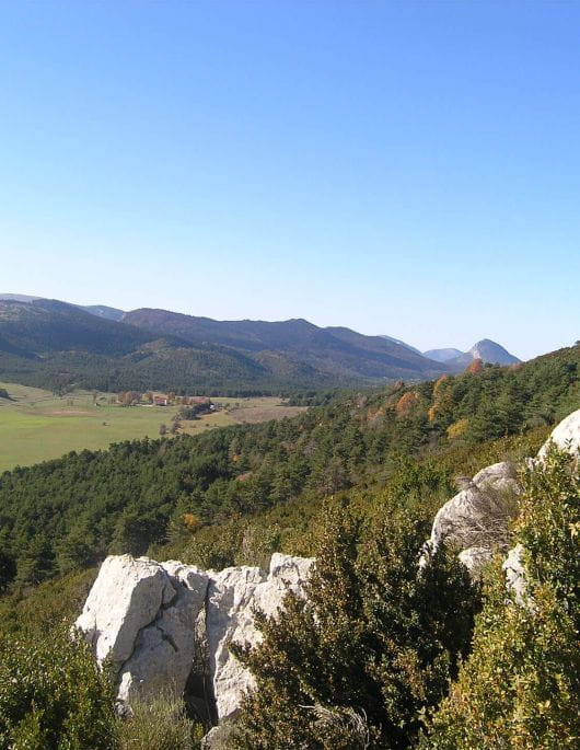 Les milieux ouverts de la réserve biologique des Monts d'Azur