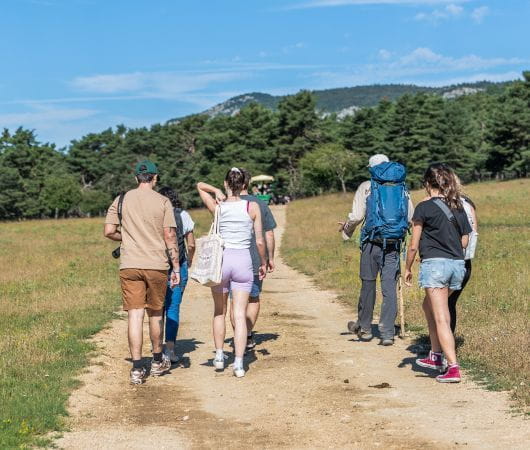 2H GUIDED WALKING SAFARI