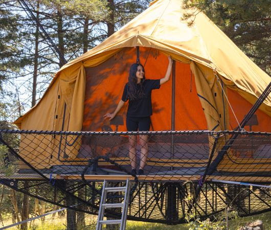 TREETOP CABIN STAY