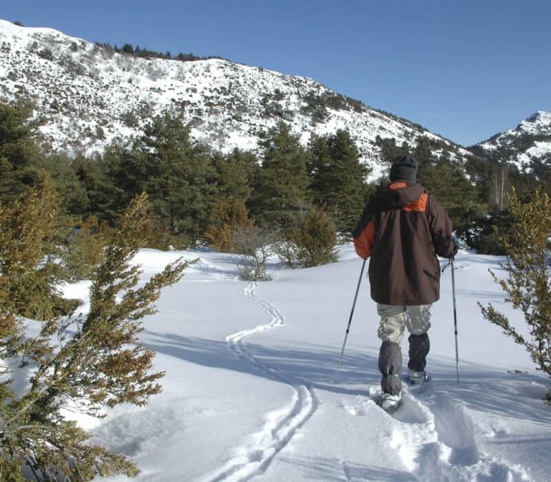 GUIDED SAFARI WITH SNOWSHOEING/ON FOOT (DEPENDING ON FALLEN SNOW)